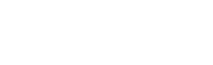 fiduciaria bhd